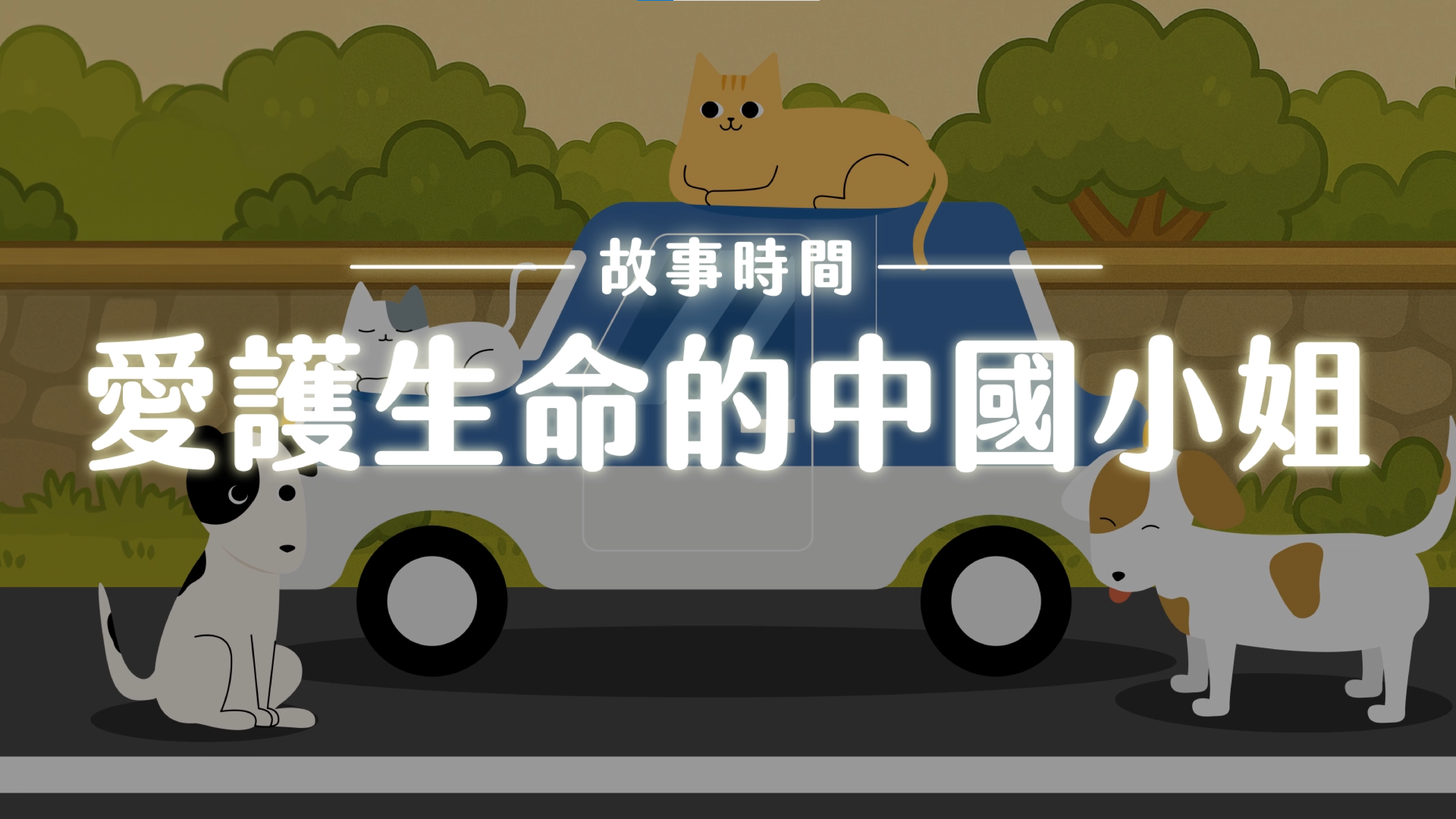 《故事》愛護生命的中國小姐